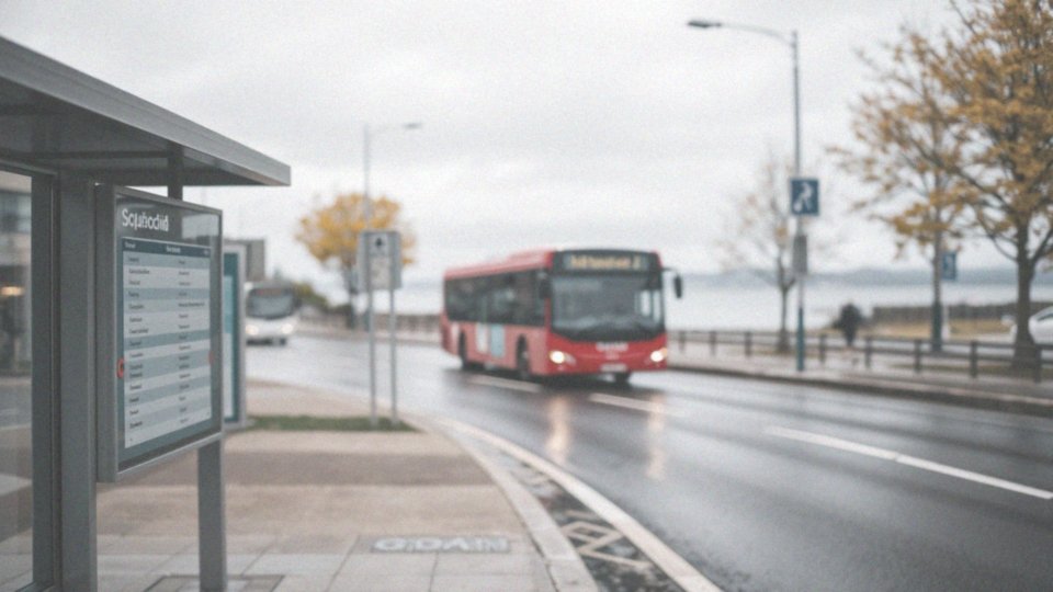 Jakie są typy linii komunikacji miejskiej w Kołobrzegu?
